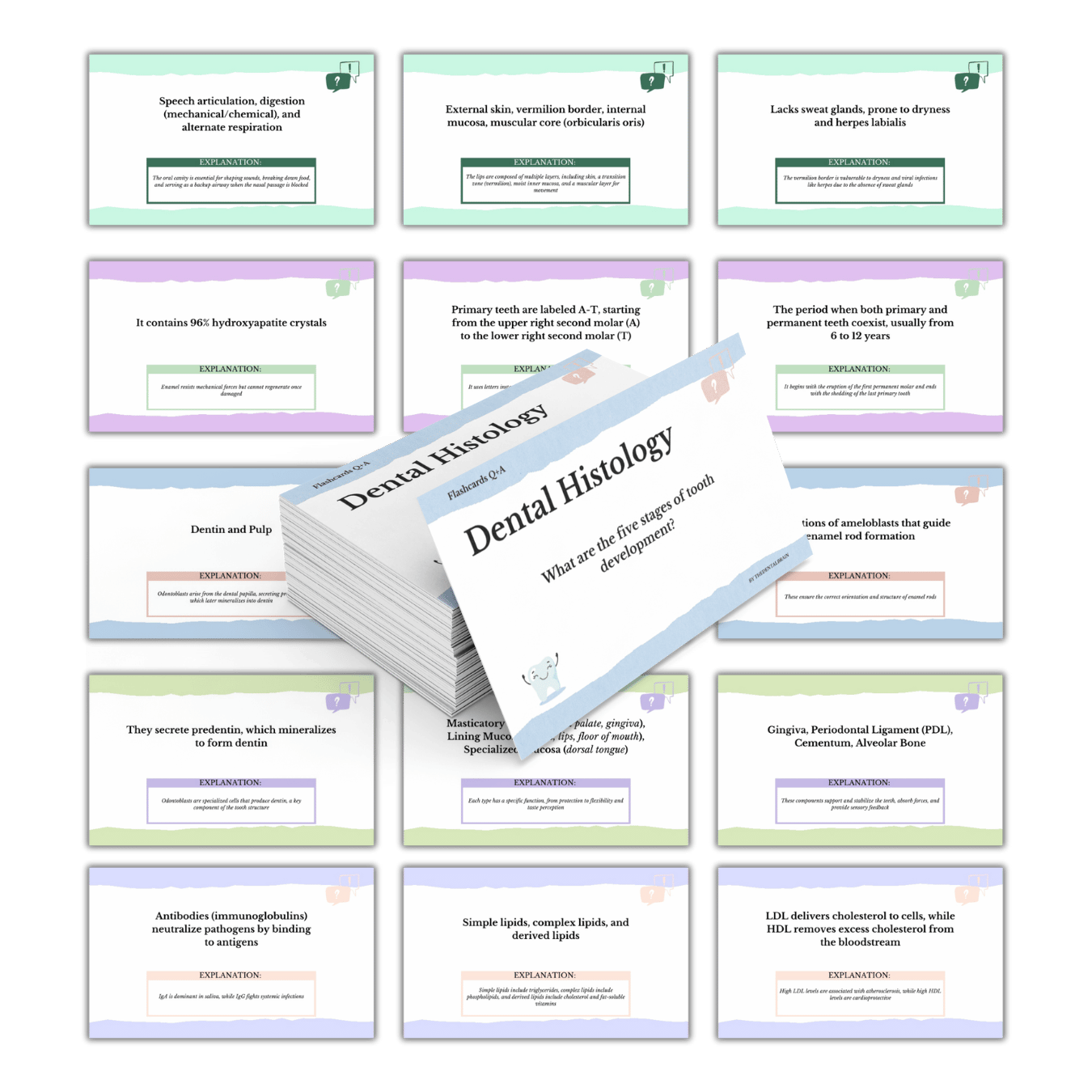 Flashcards.png__PID:d056e329-231d-41d1-aca6-90fdeb7a8bd2